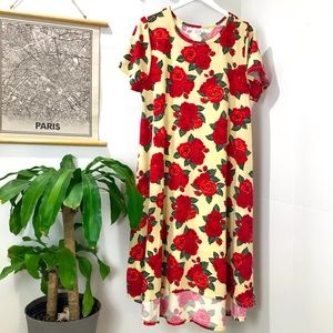 COPY - Lularoe Carly Dress
